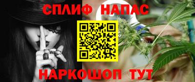 стаф Нальчик