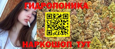 стаф Нальчик